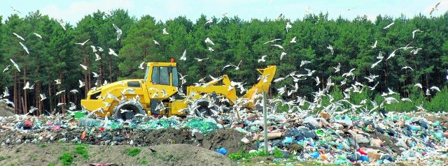 Znikomy procent śmieci trafia na gminne składowisko w Stalowej Woli, co pozwala wydłużyć okres wypełniania niecki.