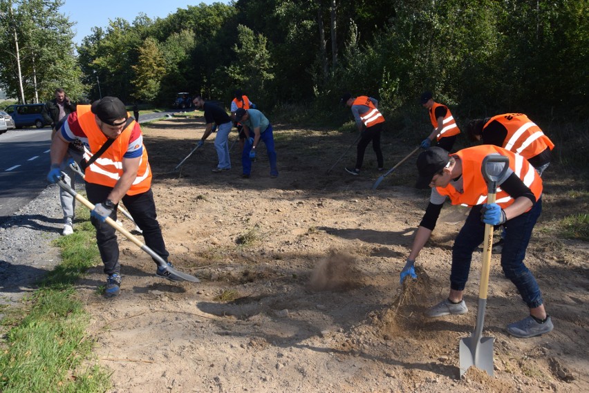 Wychowankowie nyskiego MOW pomagali przygotować teren pod...