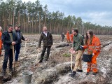 „Lasy Państwowe są dobrym gospodarzem naszych skarbów narodowych” 