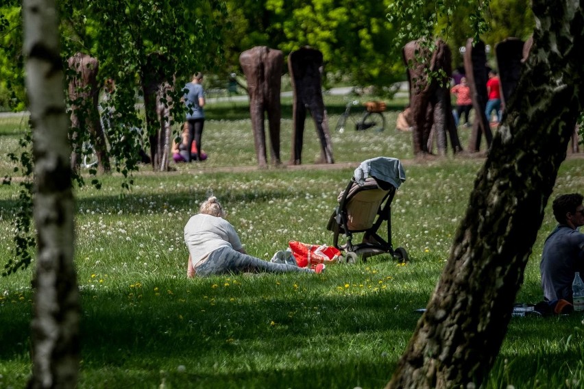 Poznaniacy chętnie odpoczywają na Cytadeli