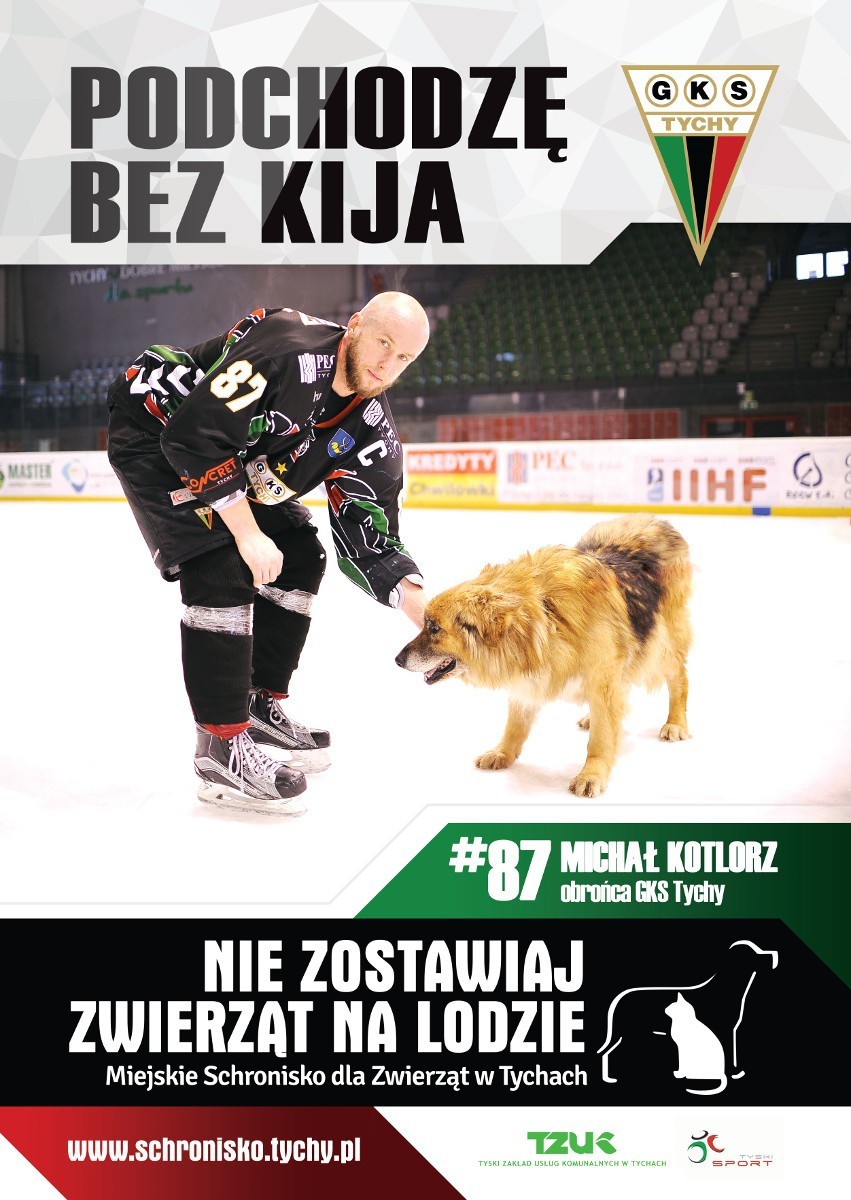 Plakat akcji "Nie zostawiaj psa na lodzie"