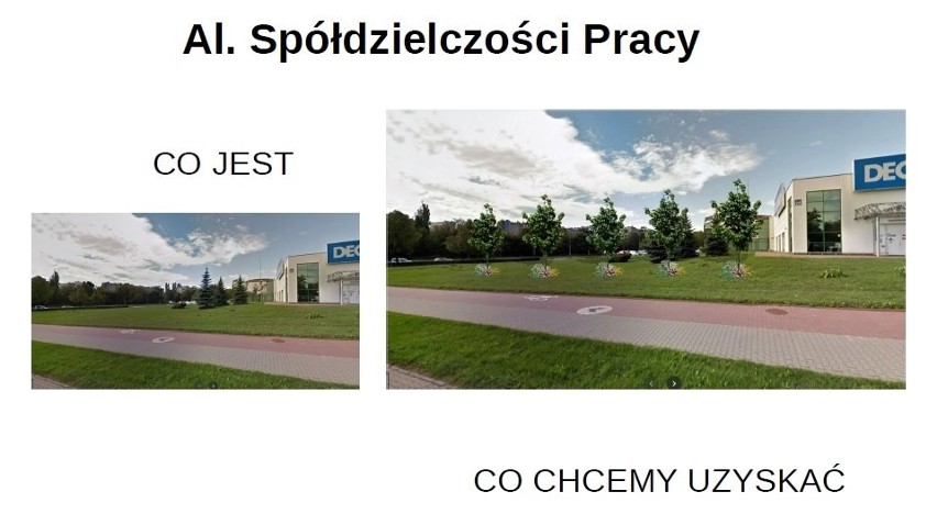 W Lublinie posadzą nowe drzewa i krzewy w centrum, ale kosztem miejsc parkingowych  