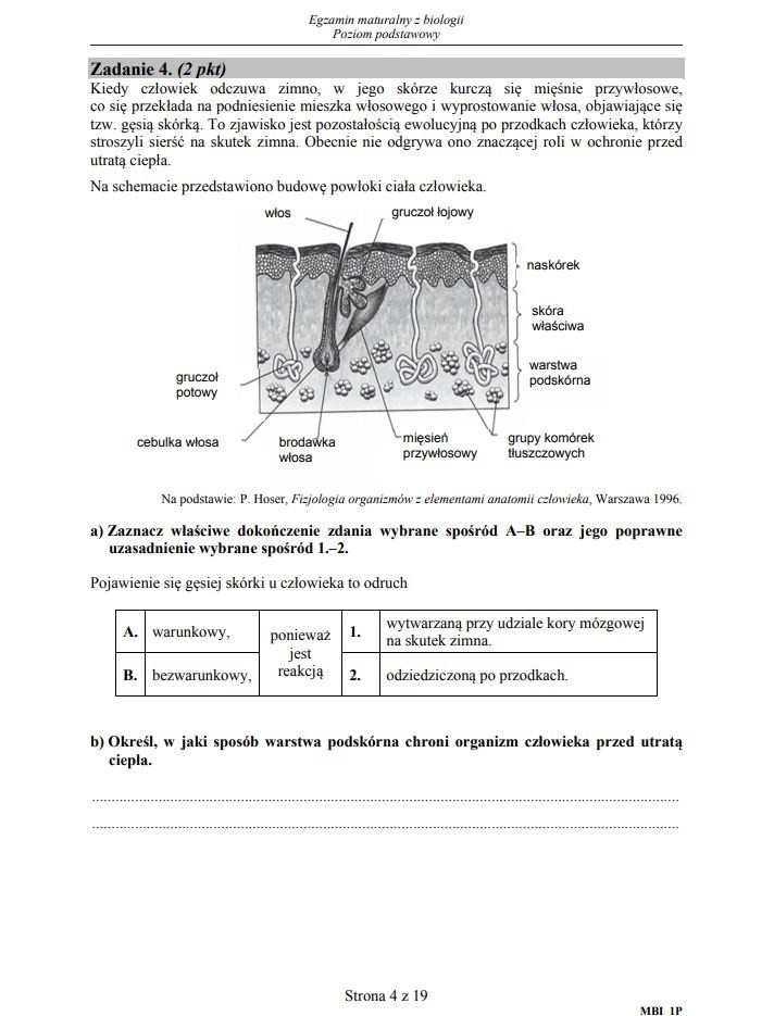 BIOLOGIA 2019 ARKUSZE CKE MATURA 2019 Z BIOLOGII ARKUSZE CKE