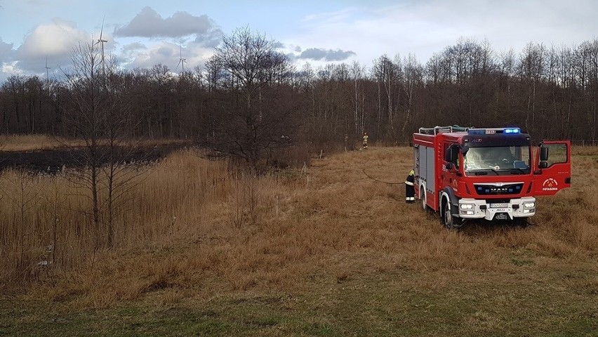 Pożar nad Czarną Hańczą. Płonęły trzcinowiska (zdjęcia)