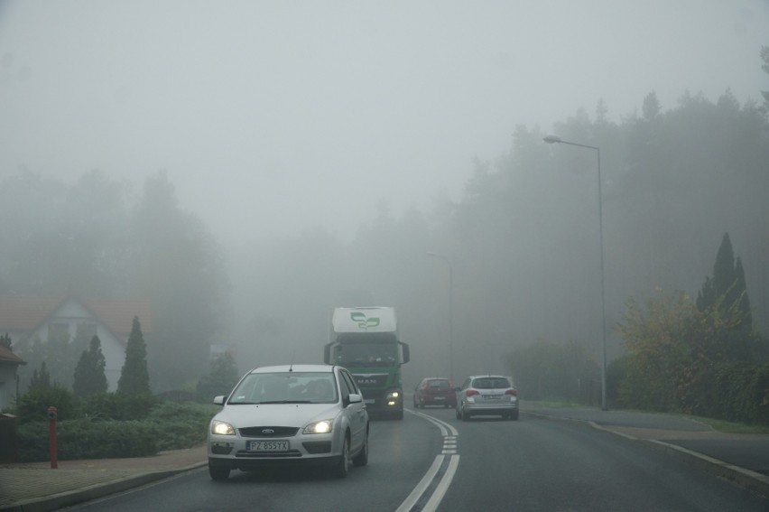 IMGW prognozuje, że mgły mogą pojawić się w całym...