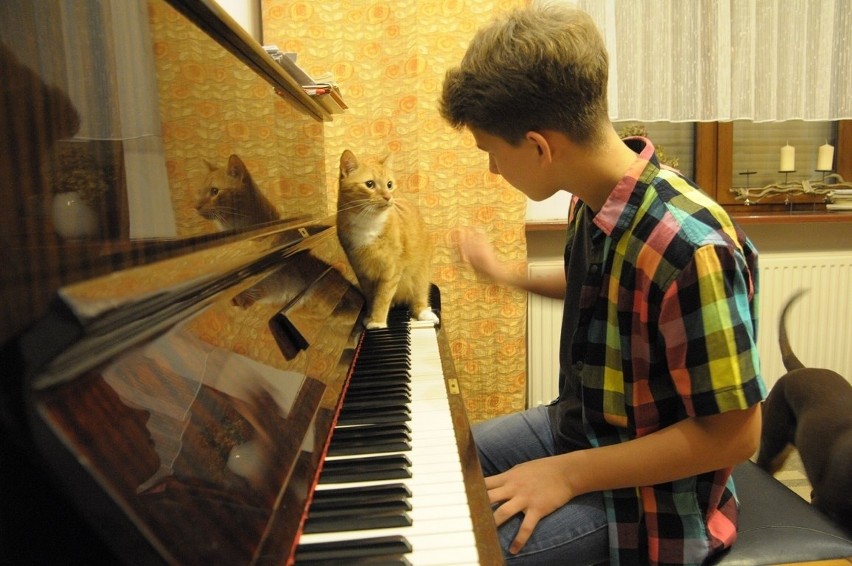 Ziemowit Świtalski obiecująco gra na pianinie. Dziecko w...