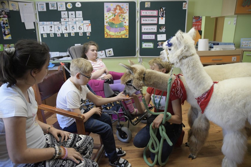 Ostrołęka. Puszyste zwierzęta pomagają w terapii [ZDJĘCIA] 