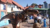 Dinozaur zachęcał w Czersku do oddawania krwi [zdjęcia]