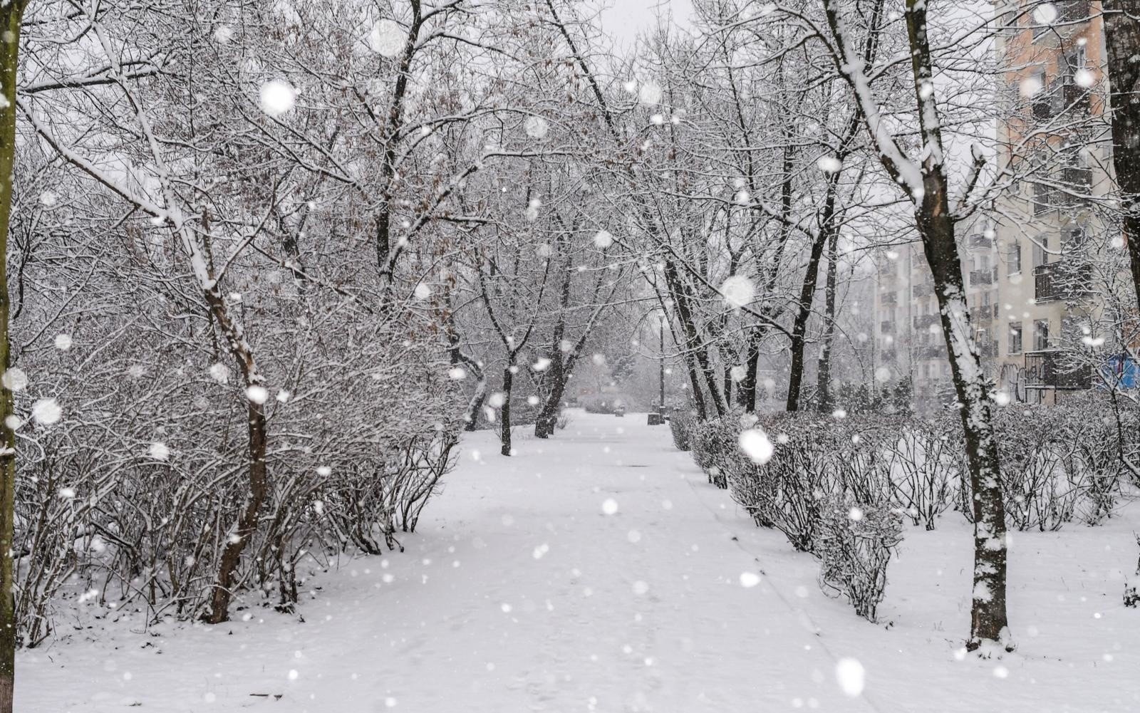 Najnowsze Prognoza Pogody Na Zime 2020 2021 Pierwszy Snieg Nawet W Pazdzierniku Glos Szczecinski