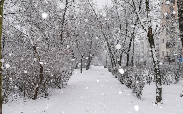 Najnowsze prognoza pogody na zimę 2020/21! Będzie mroźnie i biało?
