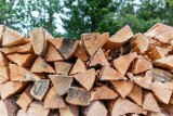 Drewno do kominka i na ognisko – jak je przygotować? 
