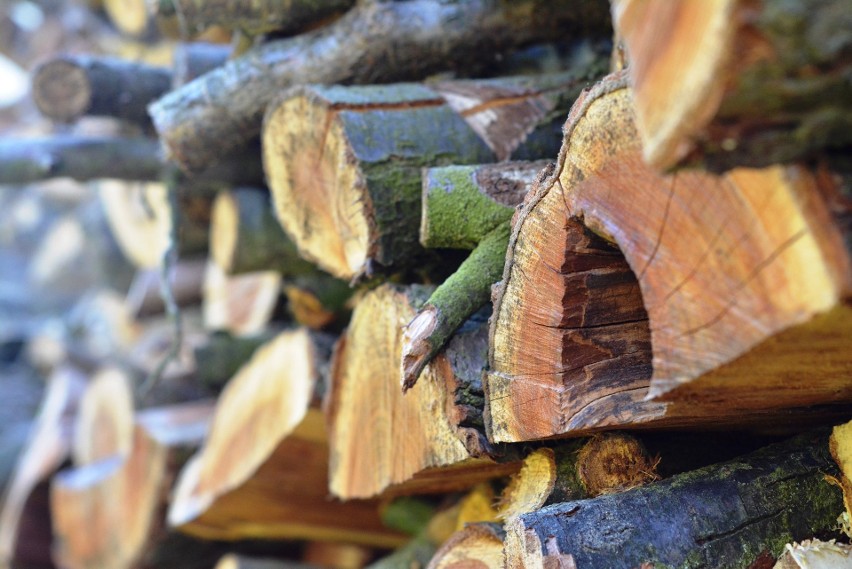 Jak wygląda cena drewna na skraju okresu grzewczego?