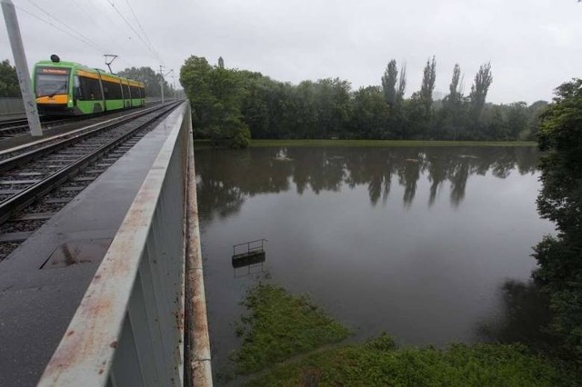 To nie jest Warta, to Bogdanka, która  z małego potoczku zmieniła się w rozlewisko