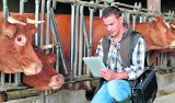 Zapłacą rolnikom za dobre traktowanie hodowlanych zwierząt
