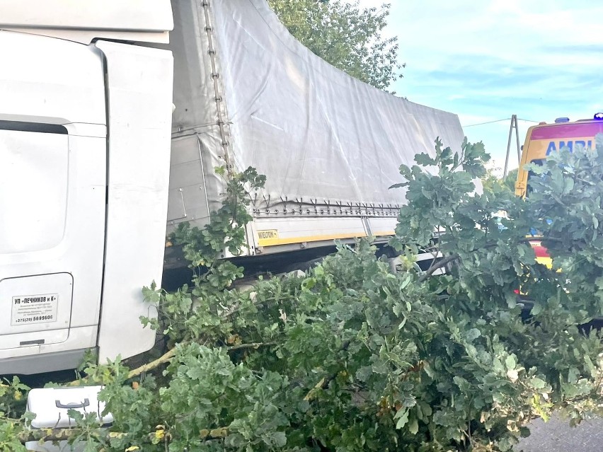 W Lipnicy kierowca ciężarówki wjechał w drzewo