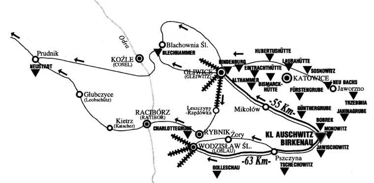 Powiat wodzisławski uczcił ofiary Marszu Śmierci. 78 lat temu Niemcy pognali wycieńczonych więźniów Auschwitz-Birkenau na Zachód. ZDJĘCIA