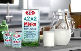 Mlekovita jako pierwsza wprowadza produkty z mleka A2A2