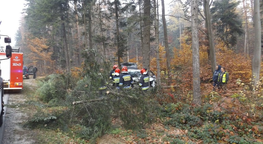 Samochód wypadł z jezdni i ściął drzewo. Kierowca w szpitalu (zdjęcia)
