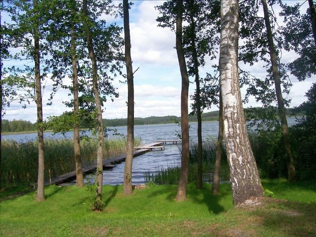 Niedroga działka nad jeziorem - długie weekendy na łonie naturyNiedroga działka nad jeziorem - długie weekendy na łonie natury