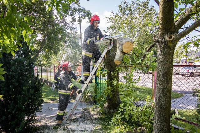 Strażacy usuwają połamane konary drzew przy ul. Grzymały-Siedleckiego.