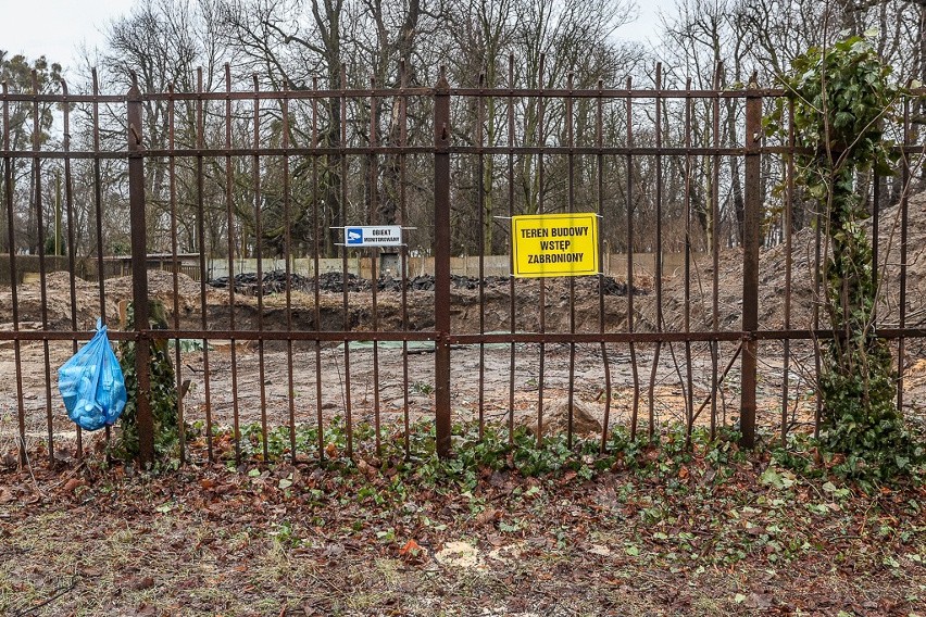 Stuletnie drzewa w parku przy alei Zwycięstwa w Gdańsku wycięte. Sprawa trafiła do prokuratury, a prezydent powoła specjalny komitet