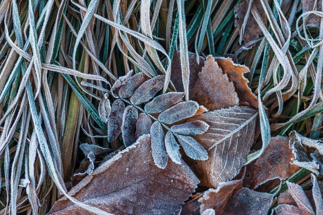 Ostrzeżenie meteorologiczne pierwszego stopnia dla Lubuskiego. IMGW ostrzega przed przymrozkami