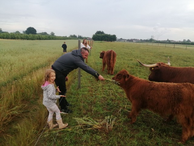 Krzysztof Wiśniewski, sołtys Kłody w gminie Magnuszew zajął pierwsze miejsce w powiecie kozienickim, w plebiscycie Mistrzowie Agro, w kategorii Sołtys Roku.