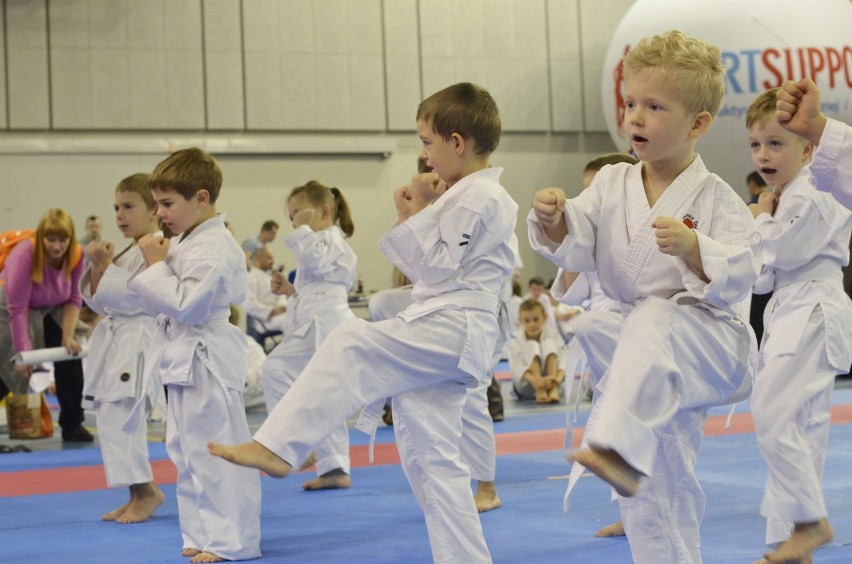 810 pojedynków w karate i moc atrakcji w Tauron Arenie Kraków