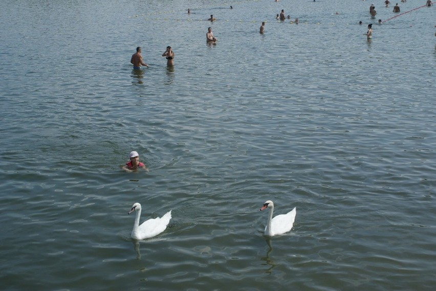 W sobotę nie brakowało chętnych do plażowania nad Pogorią...