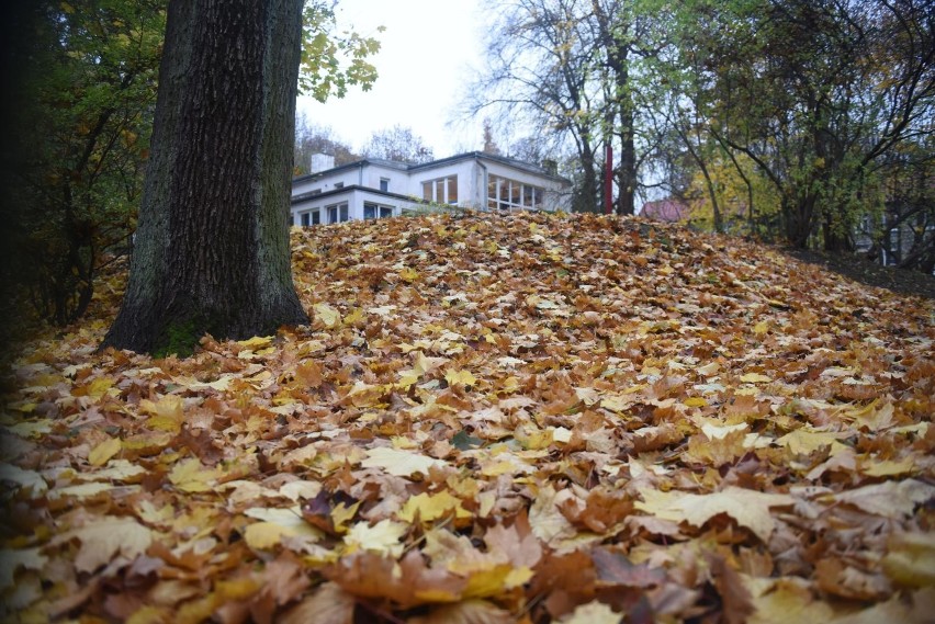 Listopad 2021. Niestety, gorzej jest z opadami. Będą one...