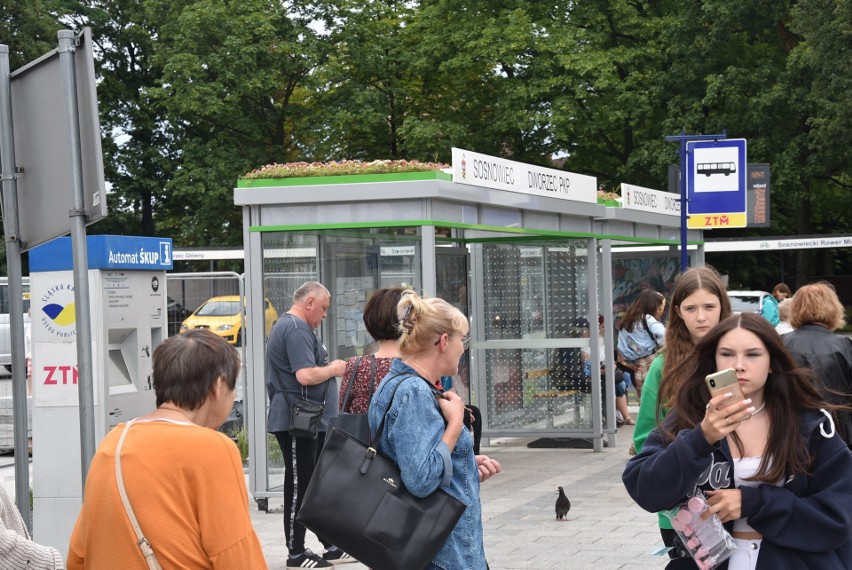 W centrum miasta z dnia na dzień przybywa zieleni. Zobacz...