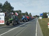 Protest rolników w Przyłubiu. Trasa Bydgoszcz - Toruń jest zablokowana. Mamy zdjęcia