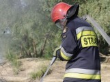 Pocierzyn: pożar w tartaku gasiło 10 jednostek straży