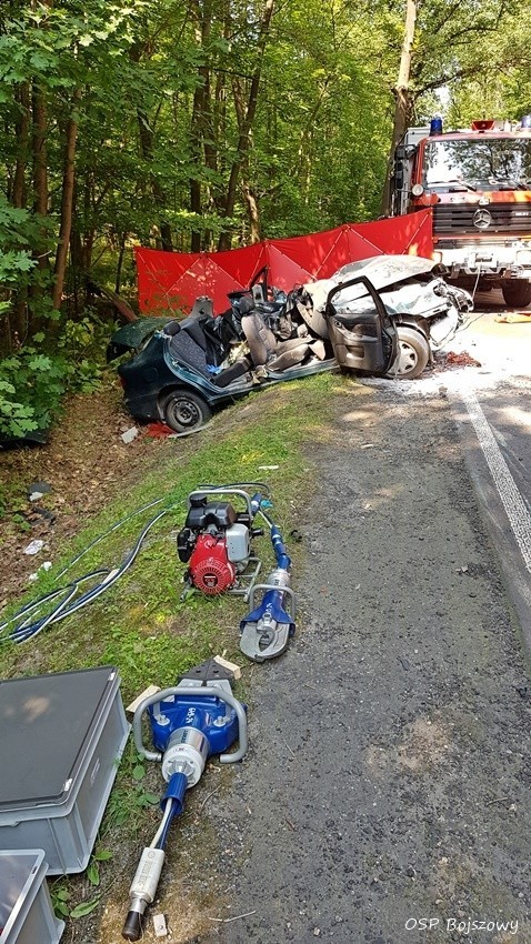 Śmiertelny wypadek w Bieruniu na DW 931. Kierowca daewoo uderzył w drzewo i przekoziołkował do rowu ZDJĘCIA