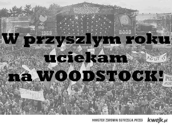 Woodstock 2013: Przystanek w oczach internautów