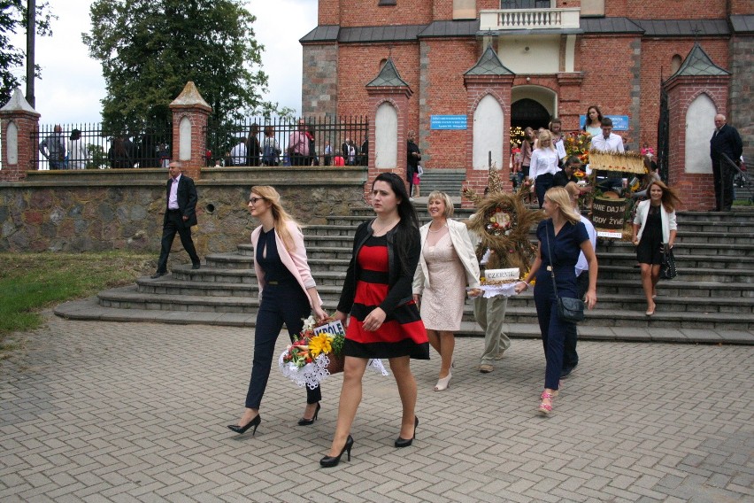 Siedemnaście delegacji wiejskich z wieńcami i koszami...