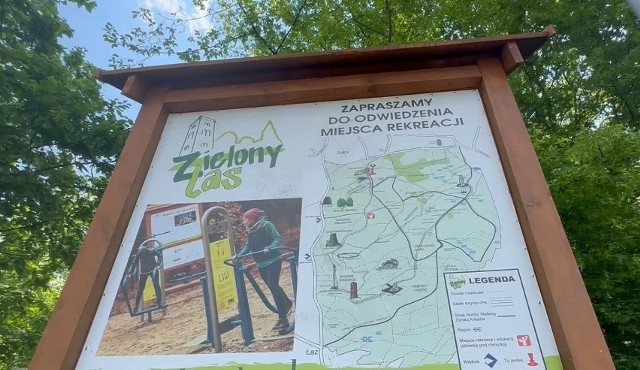 Zielony Las to miejsce rekreacji dla wielu mieszkańców. Quadami nie wolno tutaj jeździć, ale nie wszyscy szanują te przepisy