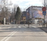 Koronawirus. Zakopane w kwarantannie. Jest tak pusto, że dzikie zwierzęta wchodzą do centrum miasta 