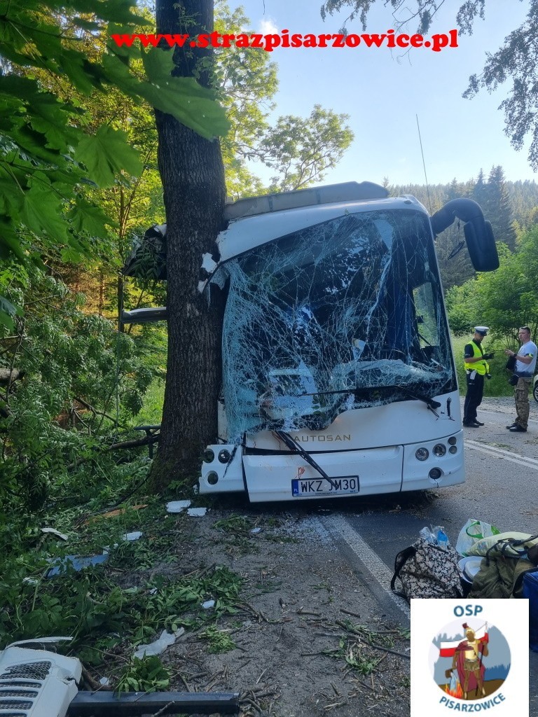 Dolnośląskie. Wypadek niedaleko miejscowości Ogorzelec. Autobus uderzył w drzewo [ZDJĘCIA, WIDEO]