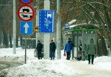 W woj. lubelskim zaczynają się ferie. Bilety pociągów w promocyjnych cenach, a autobusów mniej