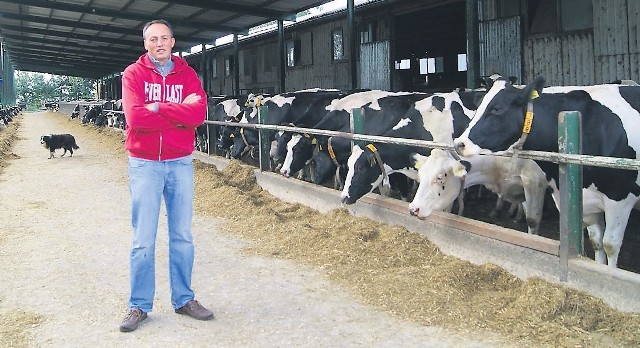 Posiadamy 440 dojnych krów oraz 450 jałówek - mówi Hubert Bricout, rolnik z Rzeczyna. 