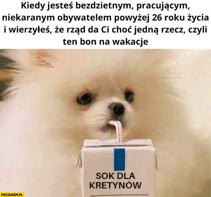 Bon turystyczny: zobacz najlepsze memy....