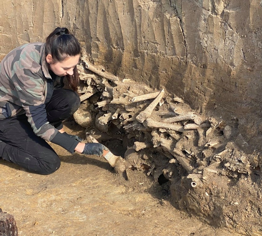 Sensacja archeologiczna w Trześni koło Gorzyc! Na starym cmentarzysku odkryto szczątki około 200 osób, najstarsze sprzed 3 tysięcy lat!
