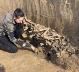 Sensacja archeologiczna w Trześni koło Gorzyc! Na starym cmentarzysku odkryto szczątki około 200 osób, najstarsze sprzed 3 tysięcy lat!
