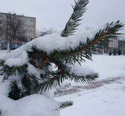 We wtorek zacznie wiać wiatr, co spowoduje, że temperatura, jaką będziemy odczuwać, to aż -25 st. C