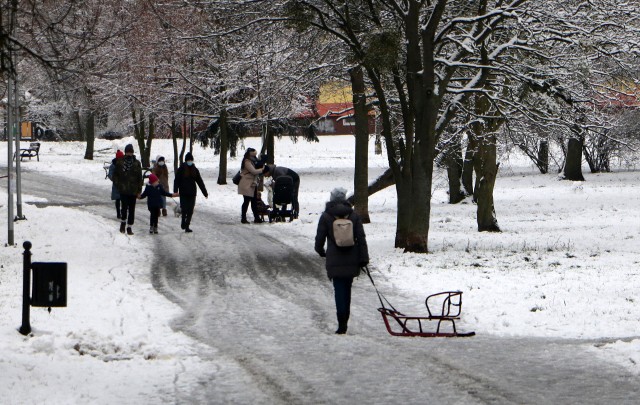 Obowiązek uprzątnięcia śniegu lub lodu z chodników spoczywa na zarządcach bądź właścicielach nieruchomości - przypominają strażnicy miejscy z Grudziądza.