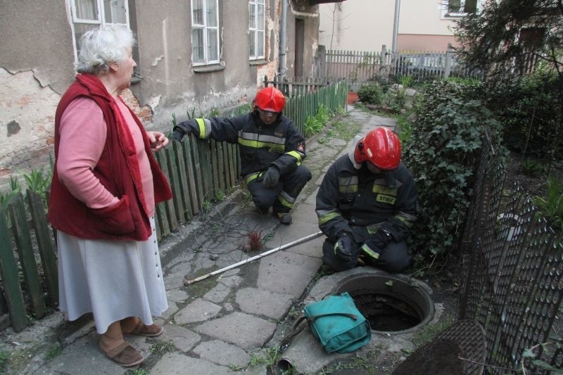 Akcja ratowania kota przy Słowackiego w Kielcach