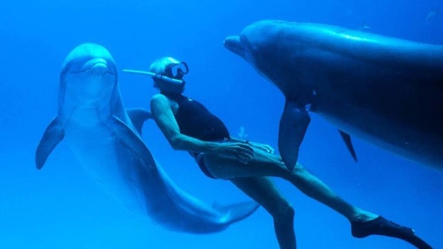 „Człowiek delfin” to niezwykła historia Jacques’a Mayola, jednego z największych nurków w historii, wielokrotnego rekordzisty świata w nurkowaniu głębinowym.
