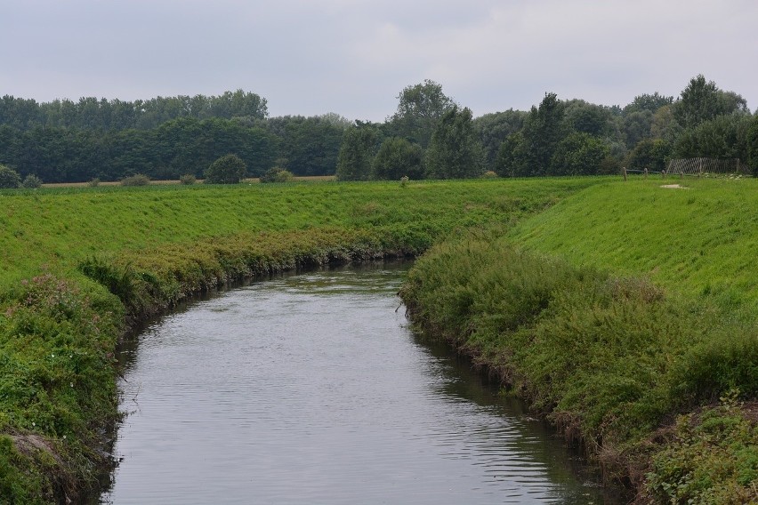 Po ulewach wzrosły poziomy wód w rzekach. Są trzy ostrzeżenia hydrologiczne dla województwa śląskiego