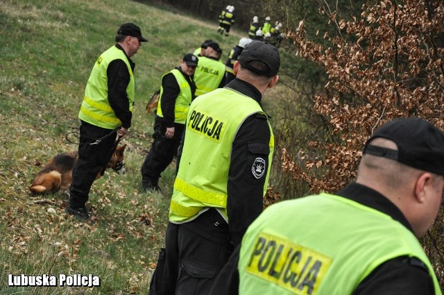 Dyżurny komisariatu policji natychmiast zmobilizował policjantów będących w służbie, a komendant ogłosił alarm dla wszystkich policjantów z Sulechowa. O zaginięciu powiadomieni zostali także funkcjonariusze Państwowej i Ochotniczej Straży Pożarnej oraz Straży Leśnej. 